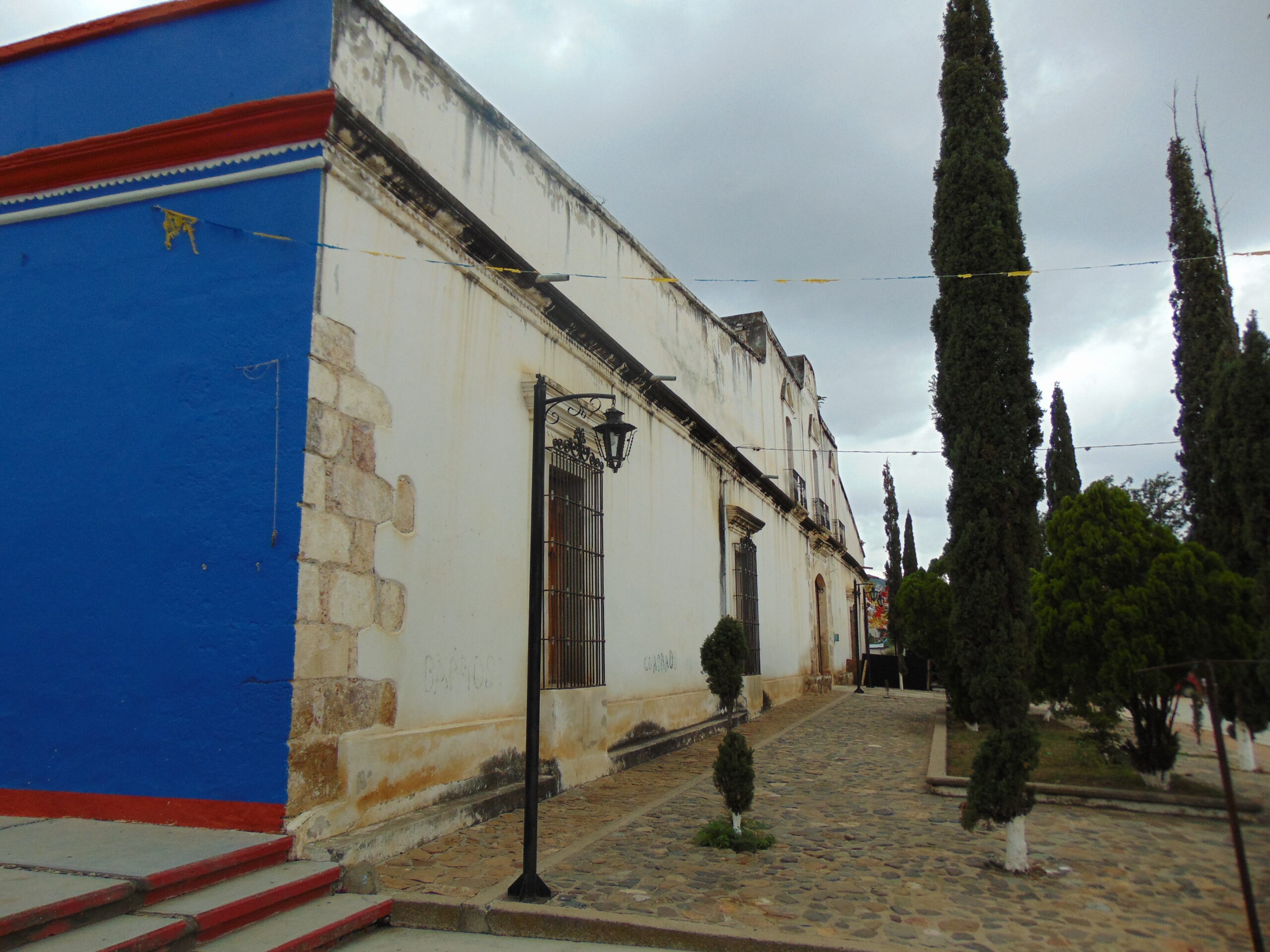 DSC03873-1